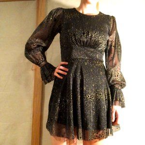 NWT Zara night sky tulle/shimmer mini dress